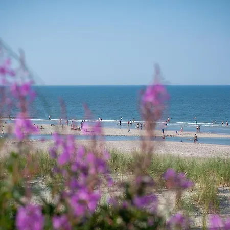 Nordsee Liebe Haus C Holiday home *