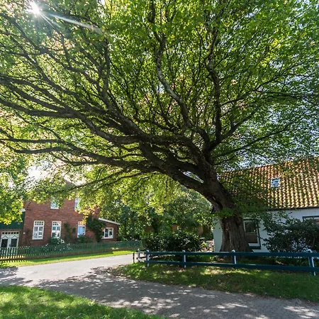 Nordsee Liebe Haus C Spiekeroog