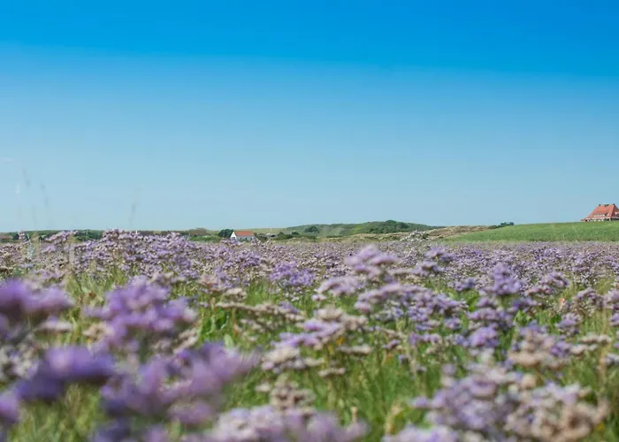 Nordsee Liebe Haus C Шпикерог